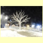 DSCN3554.JPG